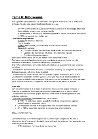 Tema-6-Ribosomas.pdf