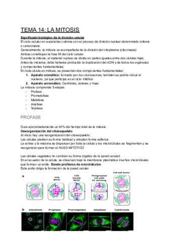 TEMA-14-LA-MITOSIS.pdf