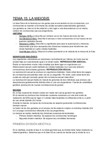 TEMA-15-LA-MEIOSIS.pdf