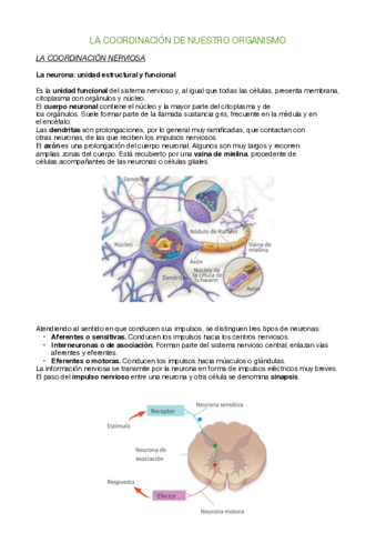 Biologia-todo-5.pdf