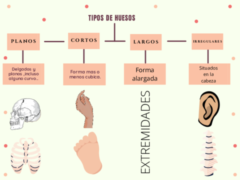 Ivory-Doughnut-Illustration-Decision-Tree-Chart-1.pdf