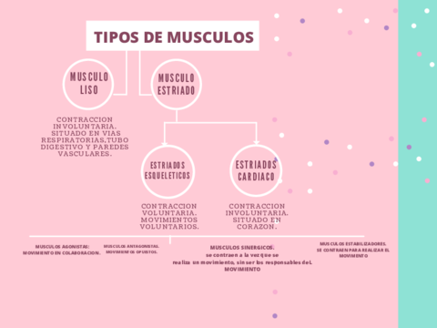 Pastel-Donut-Decision-Tree-Chart-1.pdf