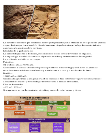 Tema-9-la-prehistoria-.pdf