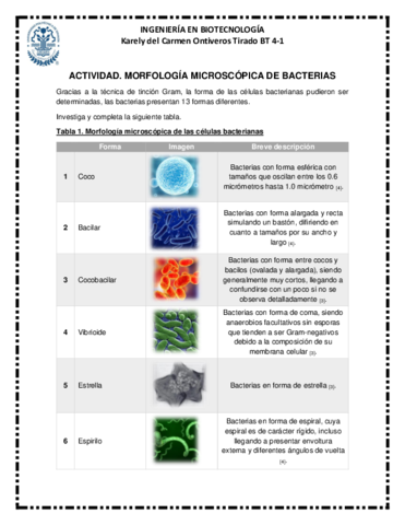 Actividad-Morfologia-MIcroscopica-bacteriana-y-agrupacion-1.pdf