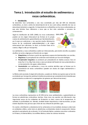 apuntes-sedi-II.pdf