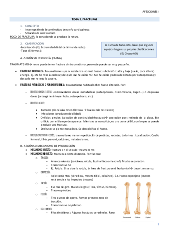 TEMA-2-AMQ.pdf