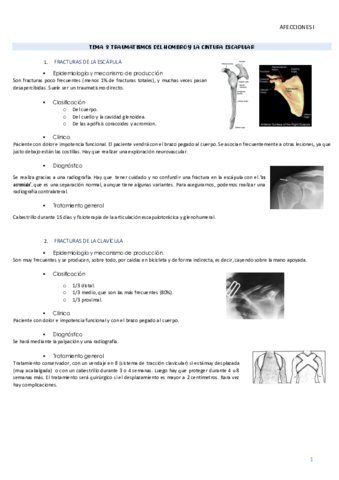 TEMA-9-AMQ.pdf