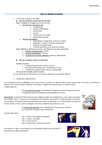 TEMA-10-AMQ.pdf