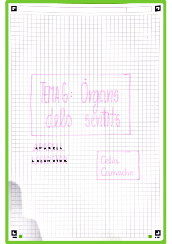 tema6-organsdelssentitsiaparelllocomotor.pdf