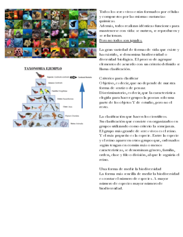 Tema-7-La-diversidad-de-los-seres-vivos.pdf