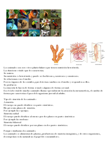 Tema-8-Animales-vertebrados.pdf