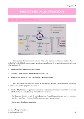 BIOSINTESIS-DE-AMINOACIDOS.pdf