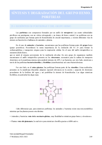 SINTESIS-Y-DEGRADACION-DEL-GRUPO-HEMO-PORFIRIAS.pdf