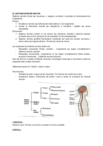 INTERVENCIO-EN-EL-DESENVOLUPAMENT-MOTRIU.pdf