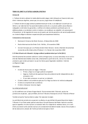 TEMA-9-EL-DRET-A-LA-TUTELA-JUDICIAL-EFECTIVA.pdf