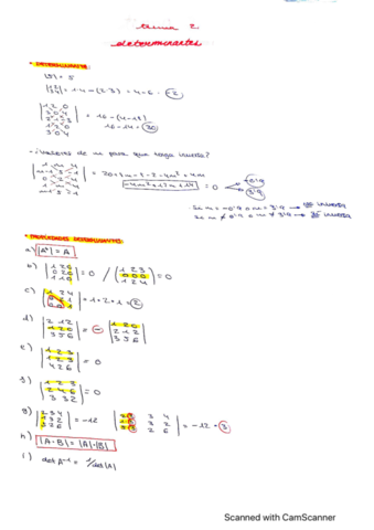 determinantes.pdf