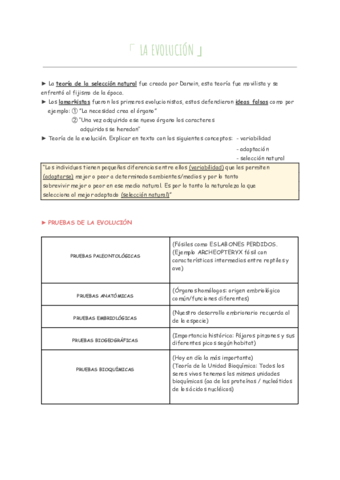 LA-EVOLUCION-.pdf
