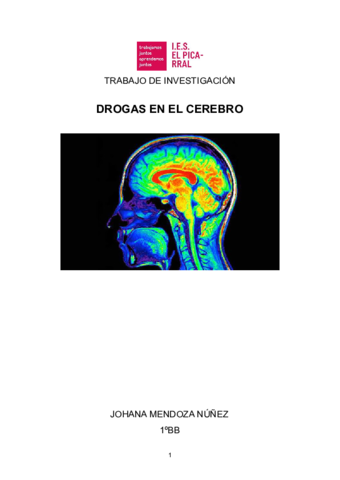 C2-TI-DROGAS-EN-EL-CEREBRO-Borrador.pdf