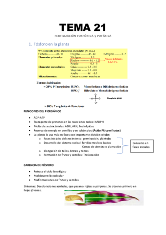 Tema-21-Fertiliacion-fosforica-y-potasica.pdf