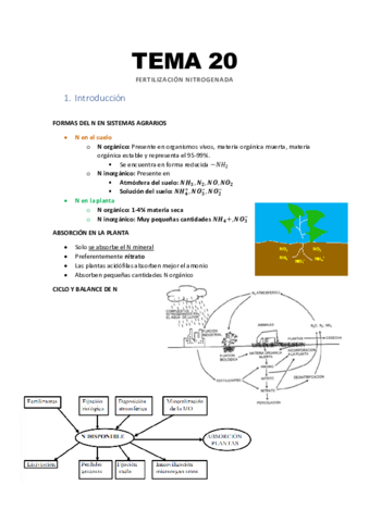 Tema-20-Fertilizacion-nitrogenada.pdf