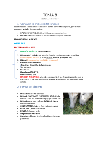 TEMA-8-Sistema-digestivo.pdf