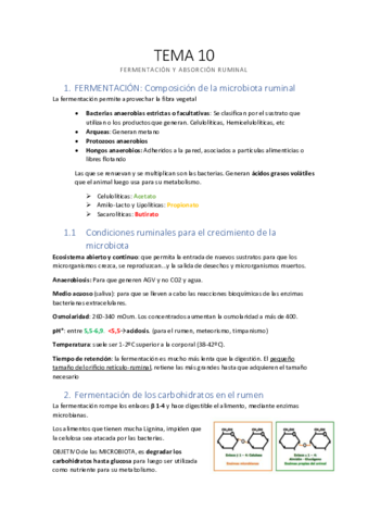 TEMA-10-Fermentacion-y-Absorcion-ruminal.pdf