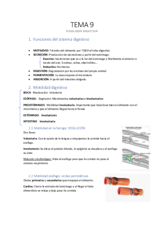 Tema-9-fisiologia-digestiva.pdf