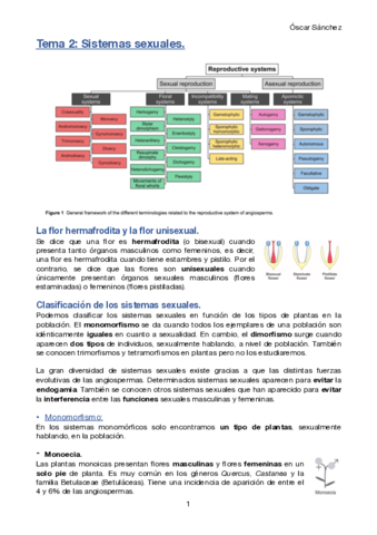 Tema-2-Avances.pdf