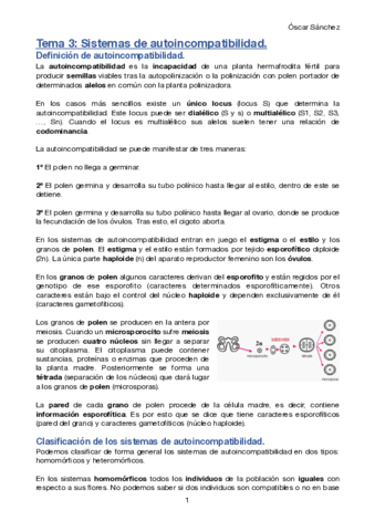 Tema-3-Avances.pdf