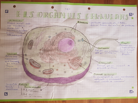 20220901161711.jpg