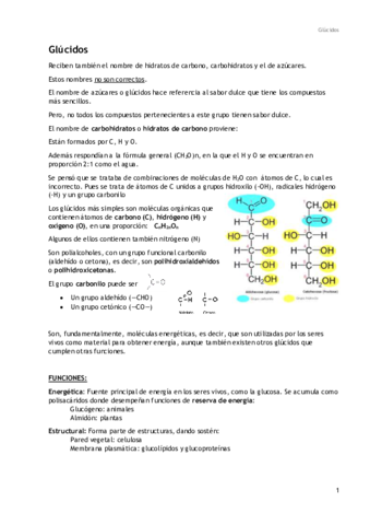 Glúcidos.pdf