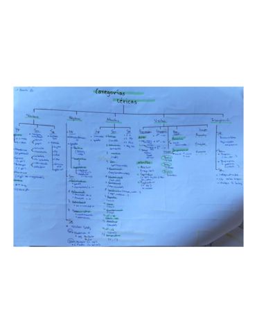 Esquema-categorias-lexicas.pdf