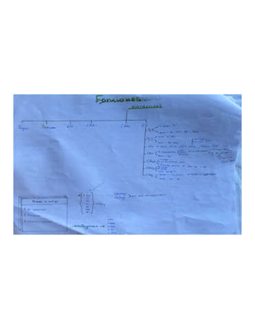 Funciones-sintacticas-esquema.pdf