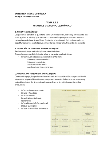 MQ1-TEMA-1.pdf