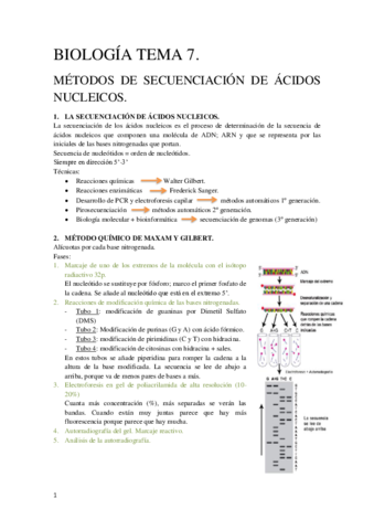 Tema-7-Biologia-Molecular.pdf