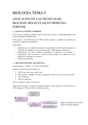 Tema-9-Biologia-Molecular.pdf