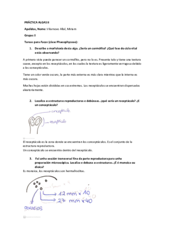 MacroalgasMiriamVilarnovo.pdf