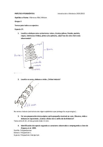 PteridofitosMiriamVilarnovo.pdf