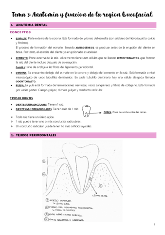 Tema-3.pdf