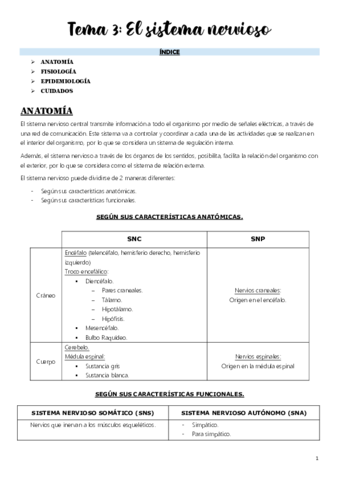 Tema-3.pdf