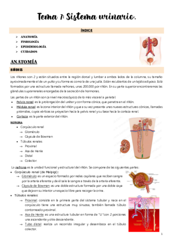 Tema-7.pdf