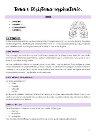 Tema-5.pdf