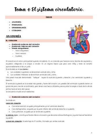 Tema-4.pdf
