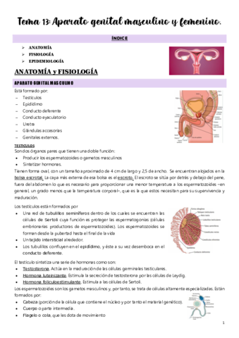 Tema-13.pdf