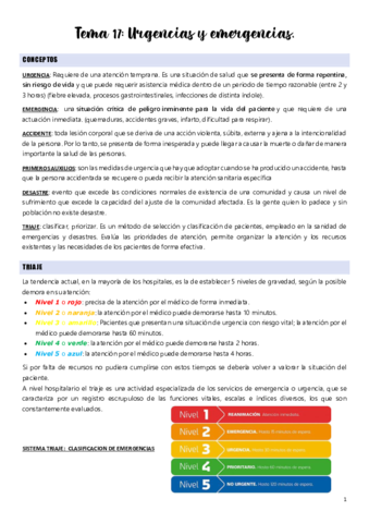 Tema-17.pdf