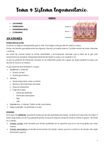 Tema-9.pdf