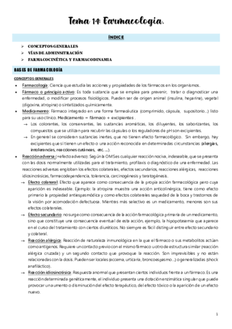 Tema-14.pdf