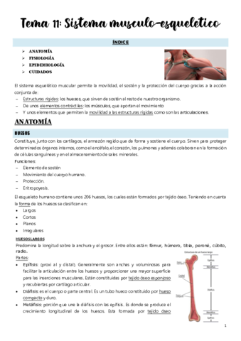 Tema-11.pdf