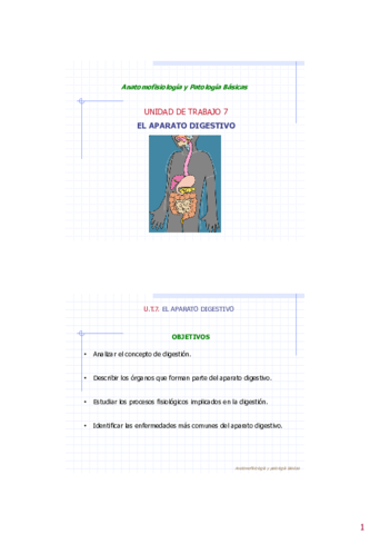 Tema-7-anatomia.pdf