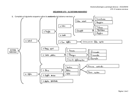 Ejercicio-de-esquema-del-tema-5-de-anatomia.pdf